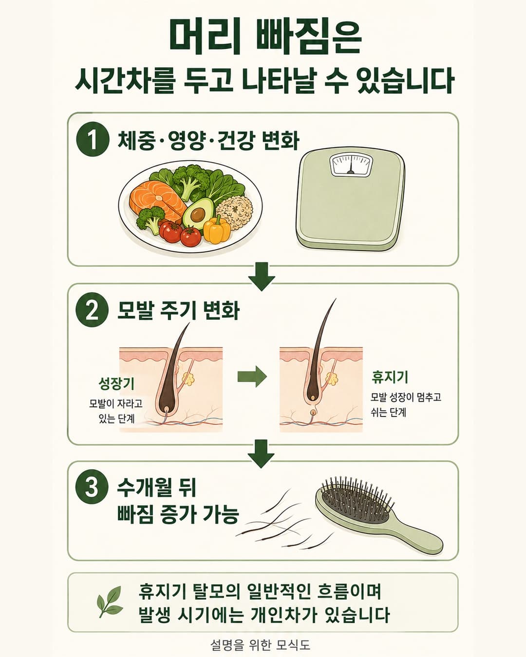 体重与健康状态变化后可能间隔一段时间出现的休止期脱发过程