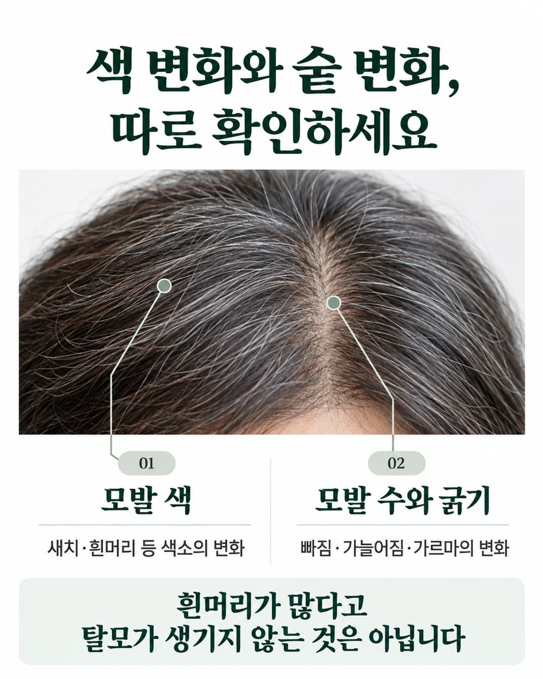 새치의 색소 변화와 탈모의 모발 수 및 굵기 변화를 따로 확인해야 한다는 안내