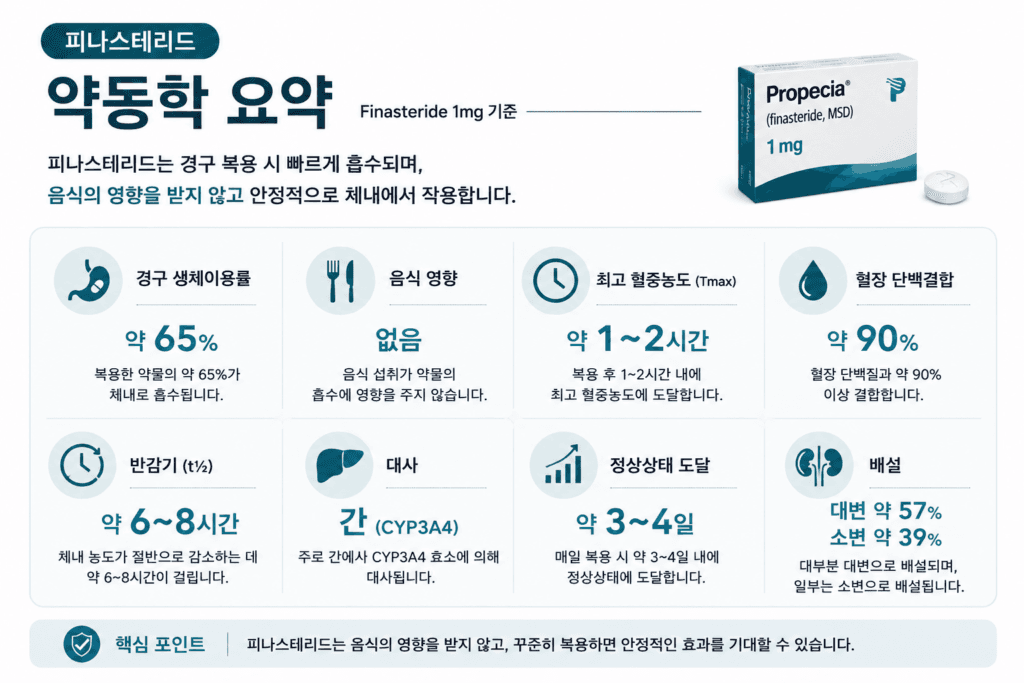 总结非那雄胺药代动力学的信息图