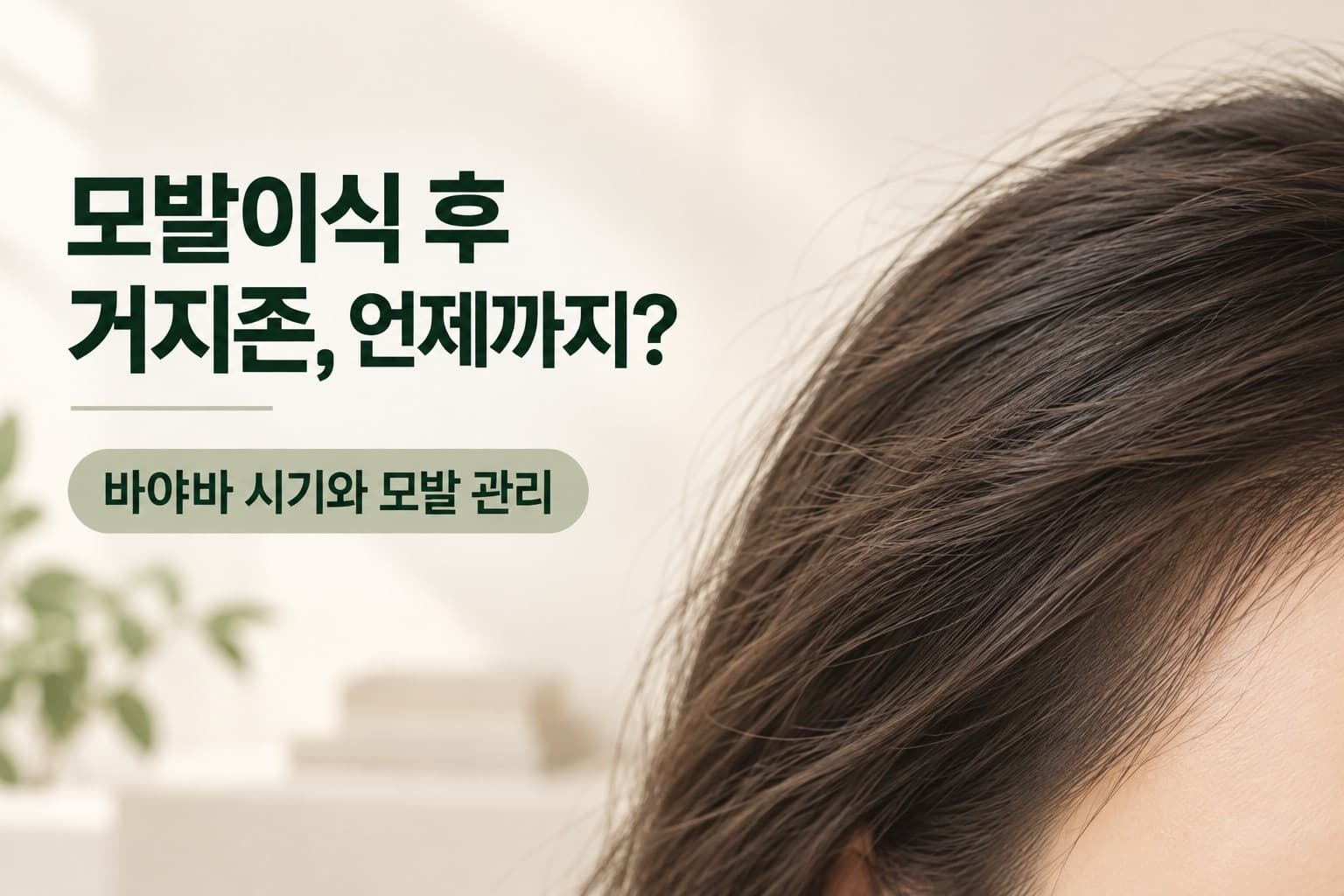 How Long Does the Awkward Stage Last After a Hair Transplant? The "Bayaba" Phase and Hair Care