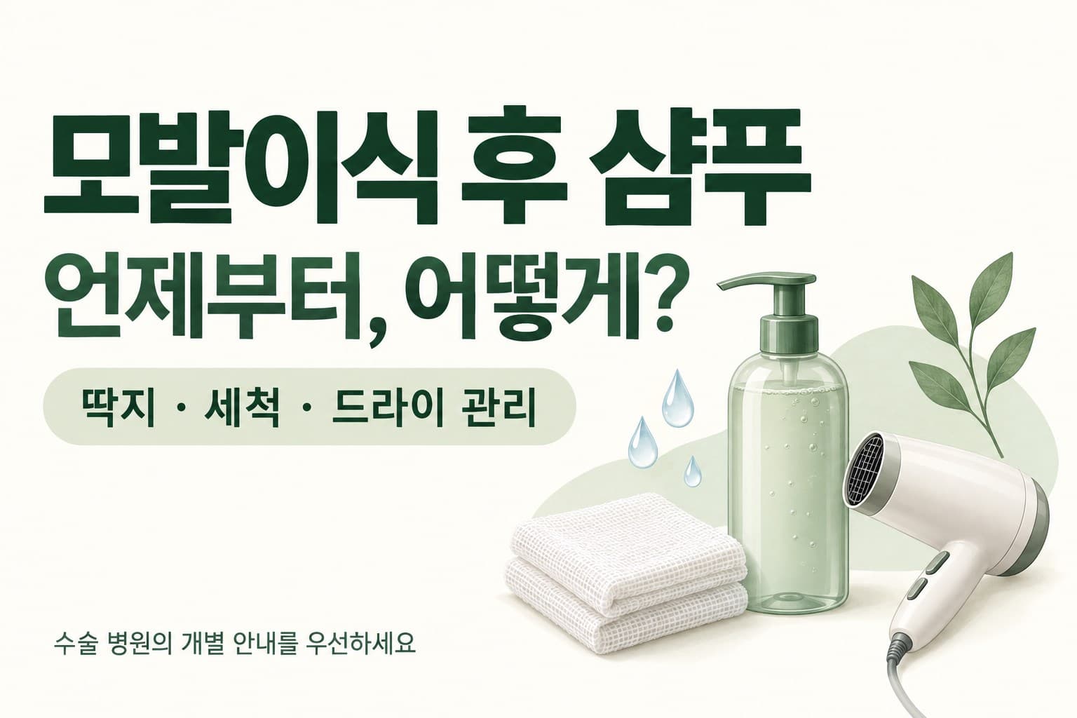 모발이식 후 샴푸는 언제부터? 딱지·세척·드라이 관리까지